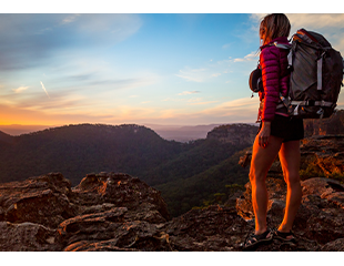 The 'Backpacker Tax' and the High Court