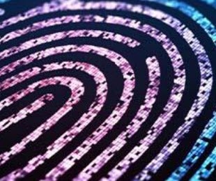 How to set up your Director ID